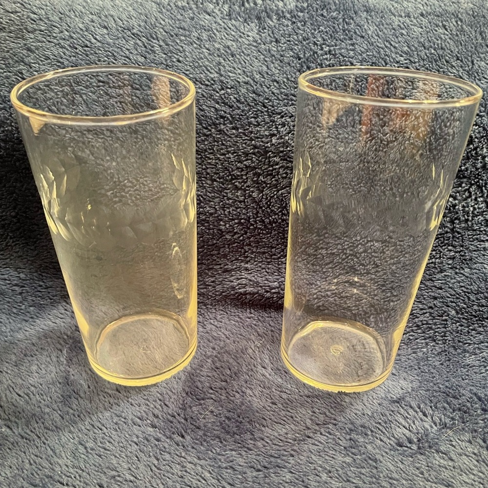 Set of 2 Vintage Leaf Etched Glasses